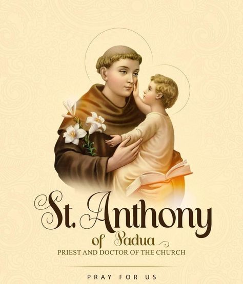 St Antony Images, St Antony Images Hd, St Anthony Prayer, Saint Antony, Holly Images, St Anthony Of Padua, Mary Images, Blessed Mother Statue, Anthony Of Padua