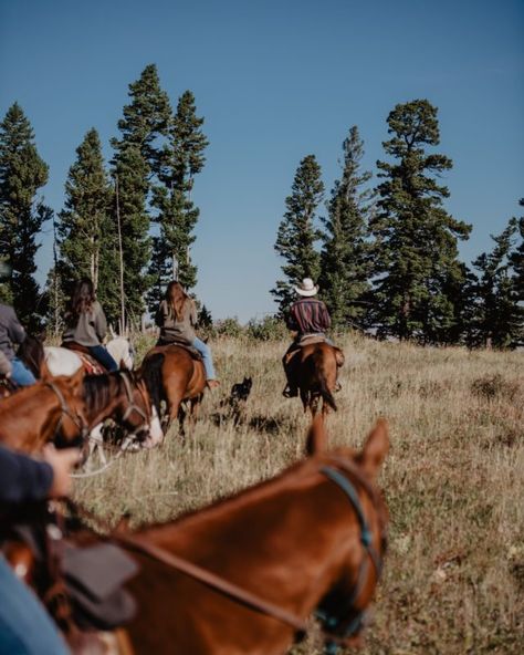 Dude Ranch Vacation, Dude Ranch Vacations, Ranch Vacation, Montana Vacation, Going Off The Grid, Guest Ranch, Big Sky Country, Dude Ranch, The Dude