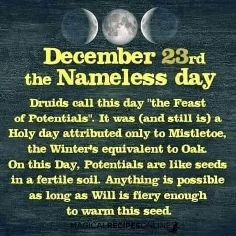 Yule Traditions, Yule Celebration, Winter Solstice Celebration, Pagan Yule, Magical Tree, Celtic Astrology, Eclectic Witch, Witch Magic, Wiccan Spells