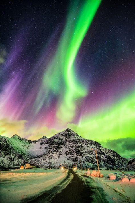 Esplosione di aurora boreale (aurore bor... | Premium Photo #Freepik #photo #inverno #neve #viaggio #casa Lofoten Islands Norway, Northern Lights Photography, Oakland City, Night Sky Photography, Northern Lights (aurora Borealis), Aurora Borealis Northern Lights, Sky Full Of Stars, Lit Wallpaper, Amsterdam Travel