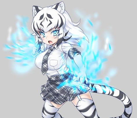 Kemono Friends: Image Gallery - Page 3 | Know Your Meme Tiger Oc, Tiger Girl, Kemono Friends, Multicolored Hair, Drawings Of Friends, Anime Animals, White Tiger, Picture Search, Animal Ears