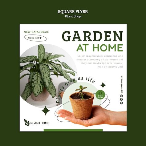 Plant Instagram Post Design, Garden Flyer Design, Plant Advertisement, Plant Presentation, Taking Care Of Plants, Plants Poster, Seedling Pots, Social Media Branding Design, Social Media Advertising Design