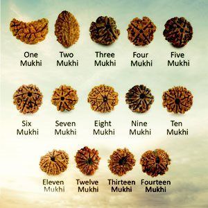 Rudraksha Jewelry, Lord Shiva Mantra, Bhole Nath, Rudra Shiva, Mahakal Shiva, Hindu Rituals, Lord Siva, Shiva Linga, Rudraksha Beads