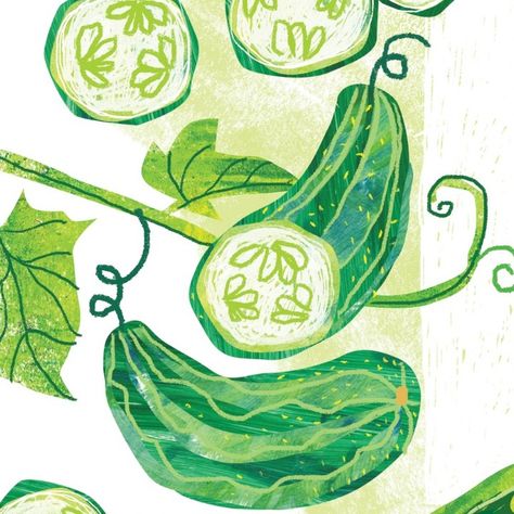 Sarah Hand Wisbey | My newest project - a food illustration collage of summer veggies for a puzzle design. A whole garden of cucumbers, radishes, beets, peas… | Instagram Cucumber Drawing, Veg Illustration, Cucumber Illustration, Radish Illustration, Veggies Illustration, Animal Illustration Kids, Drawing Notebook, Watercolor Food Illustration, Cute Snail