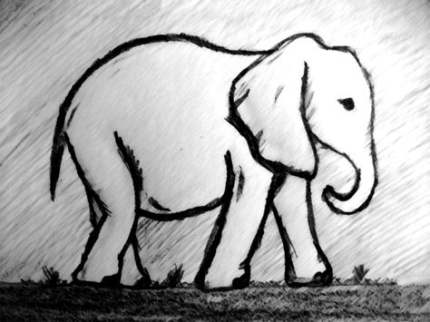 Elephant Sketch Simple, Elephant Simple Drawing, Sketch Of Elephant, Elephant Drawing Simple, Simple Elephant Drawing, Easy Elephant Drawing, Elephant Sketch, Elephant Drawing, Baby Drawing