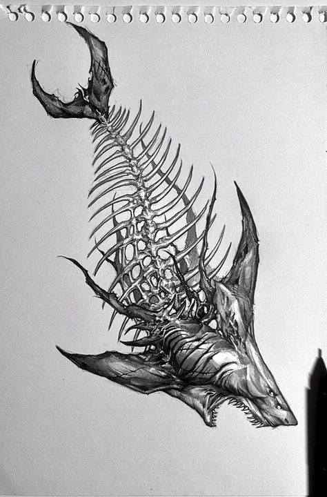 Dark Shark Tattoo, Shark Skeleton Drawing, Shark Skeleton Tattoo, Shark Tattoo Back, Zee Tattoo, Shark Tattoo Design, Tattoo Shark, Hai Tattoo, Trendy Tattoo Ideas