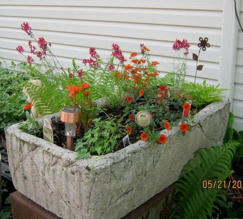 DIY Hypertufa Planter - Cool Looking Planters for Your Garden Hypertufa Pots, Hypertufa Planters, Diy Planters Indoor, Creative Garden Decor, Concrete Plant Pots, Planter Project, Diy Concrete Planters, Cement Garden, Concrete Diy Projects