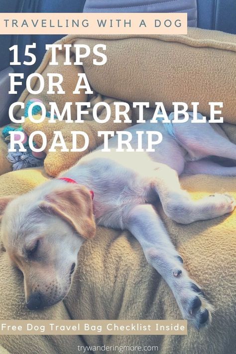 Dog Trip Checklist, Travel With A Dog, Traveling With Pets In Car, Dog Packing List Road Trips, Traveling With A Dog Road Trips, Road Trip With Dogs Ideas, Travelling With Dog, Cross Country Road Trip With Dog, Traveling With Your Dog