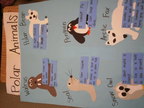 Animals Anchor Chart, Animals Chart, Polar Animals Preschool, Bear Videos, Arctic Animals Preschool, Antarctic Animals, Winter Crafts Preschool, Animal Lessons, Animal Studies