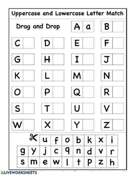 Capital and Common letters online worksheet for Reception/Kendergarten. You can do the exercises online or download the worksheet as pdf. Capital Letters Worksheet, Abc Order Worksheet, Letter Worksheets For Preschool, Sequencing Worksheets, Abc Worksheets, Preschool Workbooks, Cut And Paste Worksheets, Free Preschool Worksheets, Alphabet Worksheets Preschool