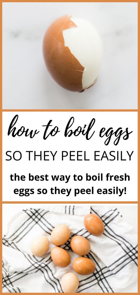 an easily peeled hard boiled egg. Boil Fresh Eggs, Hard Boil Fresh Eggs, Creative Egg Recipes, How To Boil Eggs, Hard Boiled Eggs Easy Peel, Peeling Boiled Eggs, Easy Peel Eggs, Easy Hard Boiled Eggs, Cooking Hard Boiled Eggs