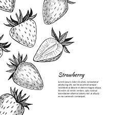 Illustration Strawberry, Strawberry Vector, Types Of Strawberries, Strawberry Art, Food Illustration Art, Hand Drawn Vector Illustrations, Pop Design, Fruit Art, Get A Tattoo