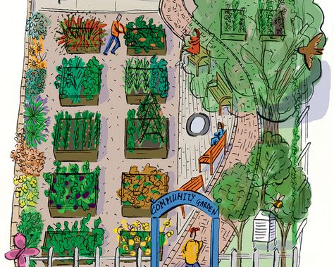 6 Steps To Starting A Community Garden  http://www.rodalesorganiclife.com/garden/6-steps-to-starting-a-community-garden Community Garden, School Garden, Vegetable Garden, A Garden, Plants