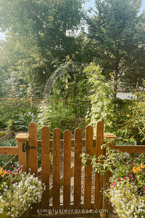 Arched garden trellises, cottage garden gates and solar string lights are my favorite part of my vegetable garden. It creates a secret garden aesthetic I just love. The 2023 garden season was finally the year I finished my wood garden fence and I'm obsessed! Here's a scrapbook of the season; best views, projects, harvests and more. Follow along with the blog for more garden inspiration. If you're anything like me you are already planning next season's veggie garden and buying seeds! Wood Garden Fence, Secret Garden Aesthetic, Garden Scrapbook, Vege Garden, Fenced Vegetable Garden, Garden Fences, Vegetable Harvest, A Secret Garden, Wood Garden