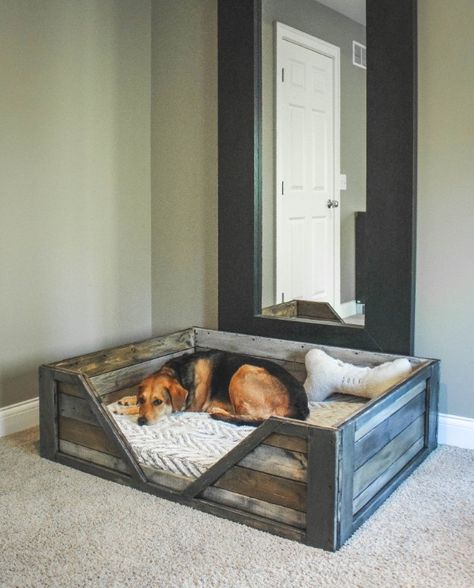 DIY Dog Beds - DIY Rustic Dog Bed - Projects and Ideas for Large, Medium and Small Dogs. Cute and Easy No Sew Crafts for Your Pets. Pallet, Crate, PVC and End Table Dog Bed Tutorials http://diyjoy.com/diy-dog-beds Rustic Dog Beds, Wooden Dog Bed, Pallet Dog Beds, Katt Grejer, Crate Ideas, Diy Dog Bed, Dog Rooms, Diy Dog, Small Wood Projects