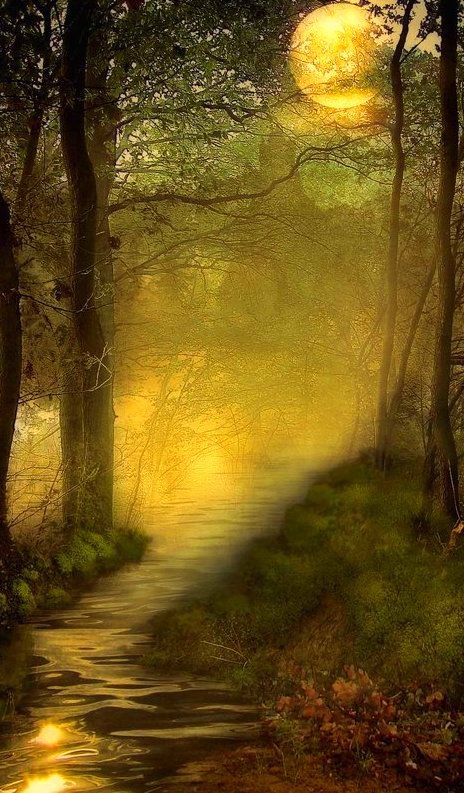 ...moon Fantasy Forest, Beautiful Moon, Magical Places, Enchanted Forest, Fantasy World, In The Woods, Nature Beauty, Beautiful World, Beautiful Landscapes