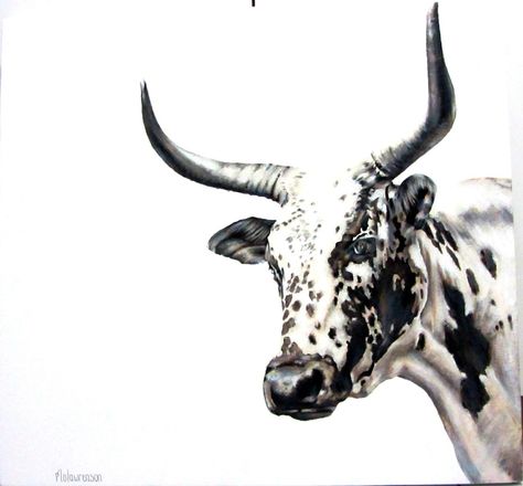 Nguni painting- Acrylic on canvas Nguni Cows Painting, Nguni Paintings, Nguni Cows, Nguni Cattle, Bull Art, Farm Paintings, Cow Pictures, Cow Painting, Cow Art