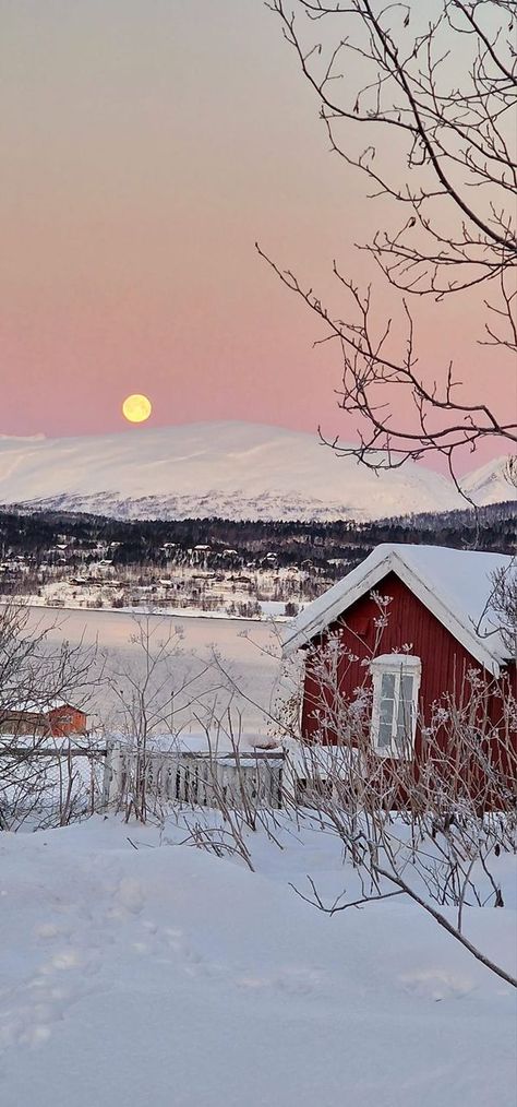 View from my window | We have no sun right now | Facebook Tromso Norway Winter, View From My Window, Norway Winter, Tromso Norway, Winter Colours, Europe Winter, Norway Travel, Tromso, Winter Blues