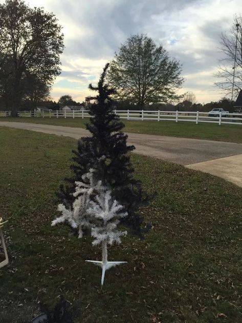 Dingy White Tree Tree Spray Painted Black - This old and dingy white tree was going to be thrown away, but I volunteered to take it. That was 5 years ago. It ha... Spray Paint Christmas Tree, Paint Christmas Tree, Black Wait, Christmas Tree Black, Dingy Whites, Paint Christmas, Fake Christmas Trees, Diy Spray Paint, Deco Mesh Christmas Wreaths