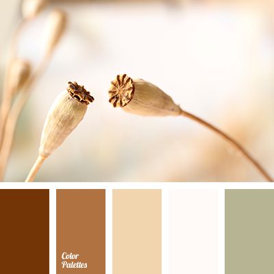 autumn shades, beige, color khaki, color of cinnamon, color of dry grass, color of mocha, color of straw, colors of autumn 2018, cream, dusty olive, olive, reddish brown, shades of brown, warm brown. Flat Bedroom, In Color Balance, Color Palette Ideas, Wall Living Room, House Color Palettes, Red Color Schemes, Red Colour Palette, Color Schemes Colour Palettes, Warm Palette