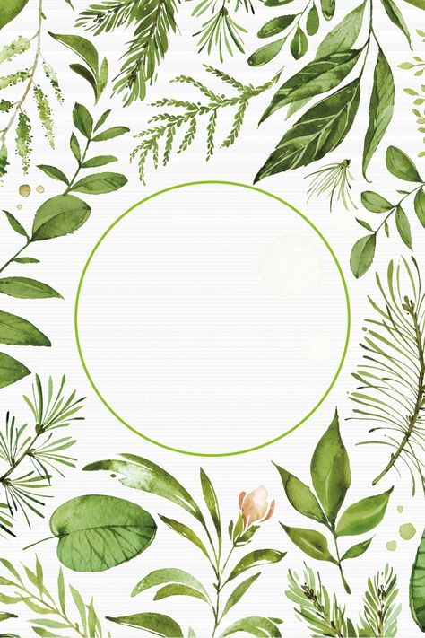 Gray Green Fresh Summer Tropical Green Plant Flower Fashion Illustration Wind Background Wind Background, Summer Background Images, Professional Illustration, Decoration Illustration, Drawing Collection, Green Bouquet, Paper Background Design, Plant Background, Beautiful Abstract Art