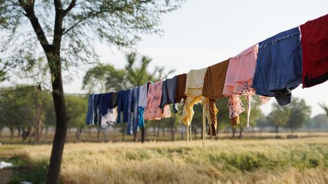 The Pool Noodle Hack That Keeps Air-Dried Laundry Crease-Free & Clotheslines Fresh - House Digest Hang Dry Clothes, Drying Laundry, Wrinkled Clothes, Pool Noodle, Laundry Dryer, Utility Knives, Pool Noodles, Cut Resistant Gloves, Washing Line