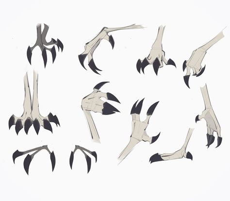 Ave on Instagram: “#sketches #study #hands #claws #draw #aveartz” Bird Feet Drawing Reference, Hooved Legs Reference, How To Create A Fursona, Bird Feet Reference, Bird Feet Drawing, Monster Body Base, Bird Claws, Animal Paws, Paw Drawing