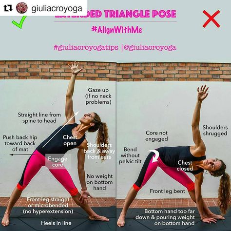 Yoga Alignment Tips&Tutorials on Instagram: “🔻 Utthita Trikonasana ↔ Extended Triangle Pose or Extended Three Corners Pose on 👉@yogaalignment . . #yogapractice with @giuliacroyoga 👈…” Power Yoga Workout, Cardio Yoga, Yoga Ashtanga, Yoga Tutorial, Frosé, Yoga Posen, Yoga Moves, Yoga Help, Yoga Exercises