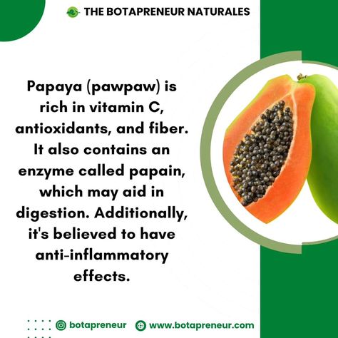 Pawpaw happens to be an underutilized fruits. The good thing about it is that both the ripe and unripe forms of pawpaw are loaded with amazing health benefits, including the seeds. Start incorporating pawpaw into your diet today. #pawpaw #papain #healthbenefitsofpawpaw #healthyeating Healthy Foods, Papaya, Natural Health, Vitamin C, Health Benefits, The Good, Healthy Eating, Vitamins, Seeds