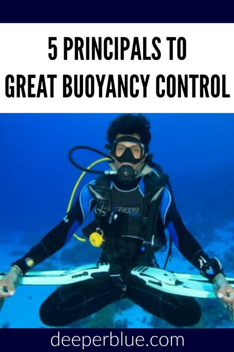 Scuba Steve, Scuba Equipment, Boat Living, Sea Diving, Scuba Diving Equipment, Best Scuba Diving, Scuba Gear, Free Diving, Diving Equipment