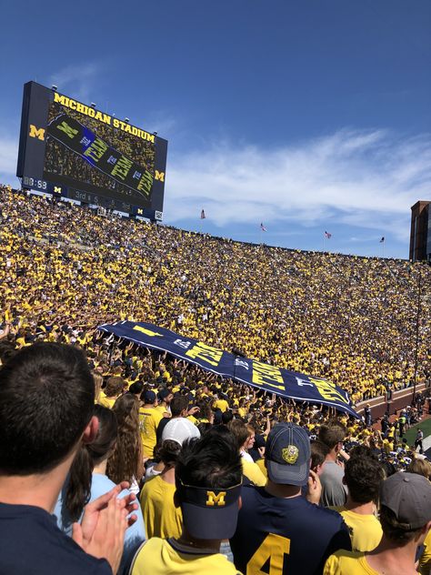 Umich Aesthetic, U Michigan, University Of Michigan Campus, College Goals, Michigan Go Blue, College Vision Board, Michigan Summer, University Of Michigan Wolverines, Michigan Wolverines Football