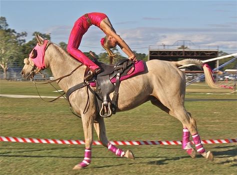 Horse trick riding pictures | the show is a fast paced adrenaline rush on horseback accompanied Trick Riding Saddle, Horse Vaulting, Trick Riding, Horse Dressage, Horse Tips, Most Beautiful Animals, Equestrian Riding, Horse Show, Horse Crazy