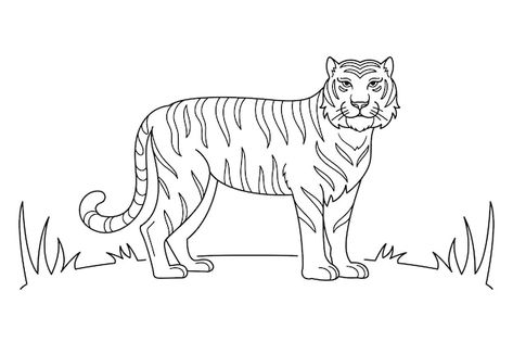 Hand drawn tiger outline illustration | Free Vector #Freepik #freevector #animal-outline #outline #line-art #tiger-illustration Tiger Outline, Tiger Vector, Animal Outline, Tiger Drawing, Tiger Illustration, Outline Illustration, 3d Modelle, Band Tattoo, Psd Icon