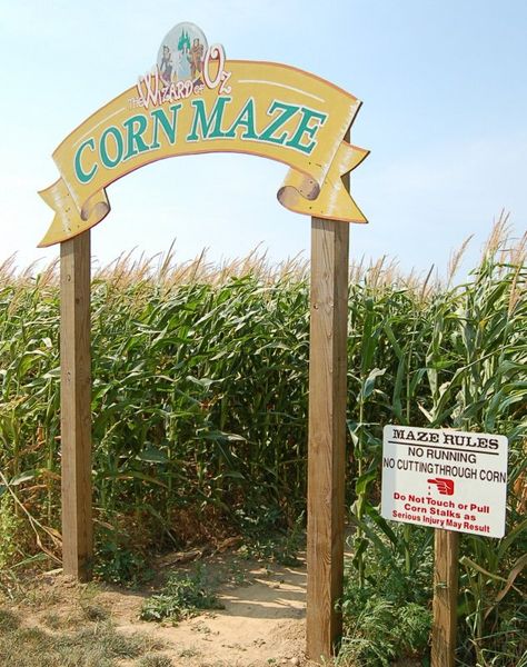 Corn Maze All Things Fall, Pumpkin Farm, Fall Things, Cottage Charm, Fall Bucket List, Corn Maze, Fall Events, Travel Checklist, Fall Travel