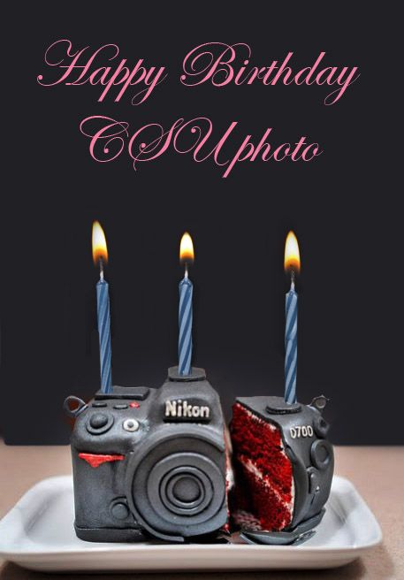 happy birthday to a photographer | Happy Birthday to CSU photo Camera Cakes, Cake Designs For Girl, 30 Cake, Realistic Cakes, Safari Cakes, Happy Birthday Quotes For Friends, Beautiful Birthday Cakes, Cakes For Men, Red Velvet Cake