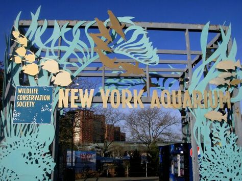 New York Aquarium, Public Aquarium, Furniture Sales, Real Estate Salesperson, City Island, London Zoo, Best Ikea, I Love Ny, Ikea Family