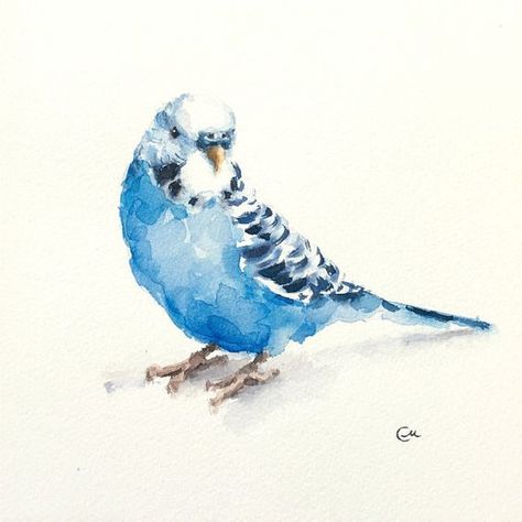 Parakeet Art, Sennelier Watercolor, Bird Watercolor Art, Bird Painting Acrylic, Watercolor Paintings Of Animals, Bird Watercolor Paintings, Flower Drawings, 강아지 그림, Watercolor Blue