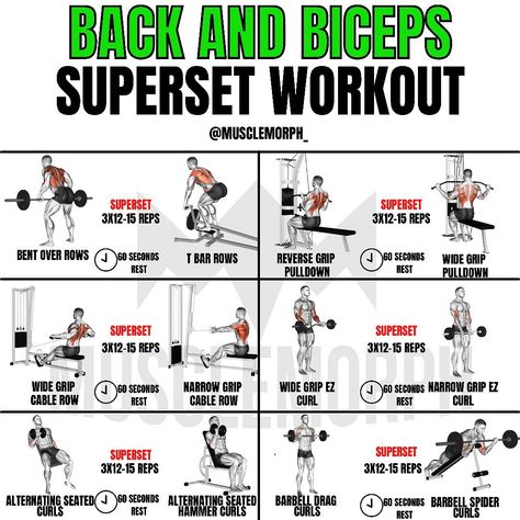 Bicep Superset Workout, Bicep Superset, Workout Superset, Super Set Workouts, Back Workout Bodybuilding, Superset Workout, Pull Day Workout, Boxing Workouts, Back And Bicep Workout