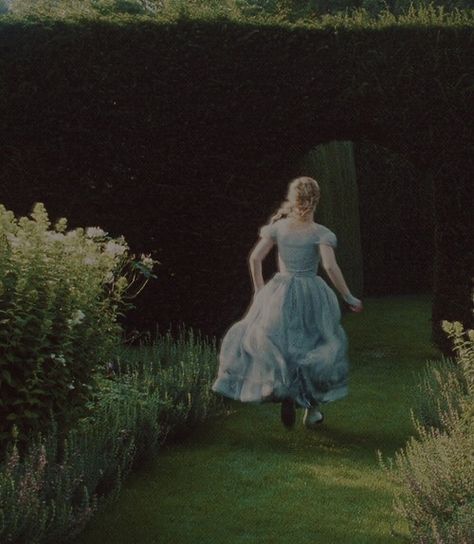 Alice In Wonderland Aesthetic, Tim Burton Films, Tim Burton Movie, Portrait Photos, Adventures In Wonderland, Through The Looking Glass, Mad Hatter, Tim Burton, Blue Dress