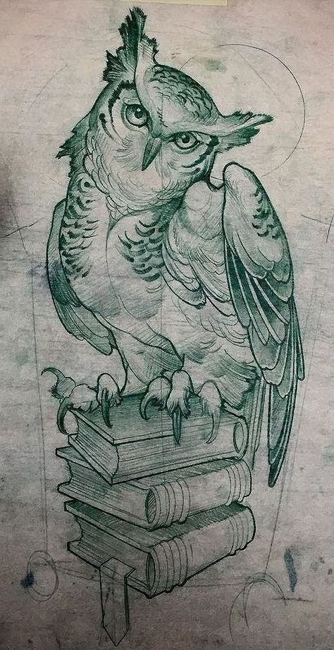 Peacock Tattoo, Semicolon Tattoo, More Tattoo, Owl Tattoo Design, Cat Tattoos, Tiny Tattoo, Desenho Tattoo, Owl Tattoo, Ink Ideas