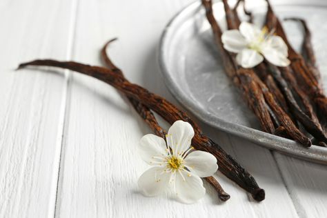 8 Genuis Ways to Use up Your Leftover Vanilla Bean Pods Vegan Perfume, Pisces And Taurus, Bean Pods, Roll On Perfume, Roll On Bottles, Niche Perfume, Salalah, Fragrance Diffuser, Perfume Oil