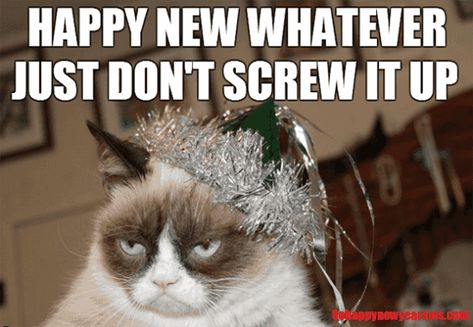 30 Funny New Year Memes & New Year's Eve Quotes To Start The Year Off Right Funny New Years Memes, Grumpy Cat Meme, New Years Eve Quotes, New Year Meme, Cat Celebrating, Funny New Year, 9gag Funny, Grumpy Cat Humor, Angry Cat