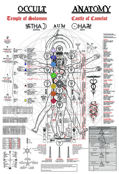 The Occult Anatomy Print - Kabbalah, Alchemy, Tree of Life, Golden Dawn, Hermetics, Chakras, Astrology, Kundalini, Tarot, Sephiroth Occult Anatomy, Golden Dawn, Human Body Art, Vitruvian Man, Alchemy Symbols, Spirit Science, The Occult, Occult Art, Ancient Knowledge