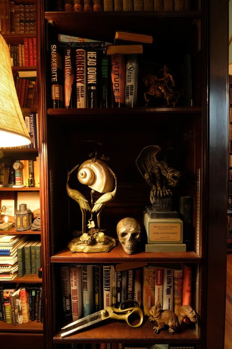 Knives Out Decor, Detective Room Aesthetic, Knives Out Movie Aesthetic, Gothic Library Aesthetic, Library Aesthetic Wallpaper, Knives Out Aesthetic, Detective Room, Knives Out House, Knives Out