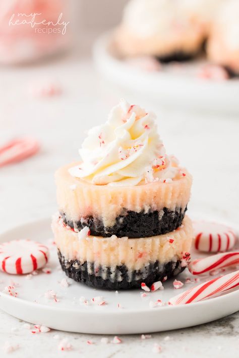 Mini Candy Cane Cheesecake, Mini Snickerdoodle Cheesecake, Peppermint Bark Mini Cheesecakes, Oreo Peppermint Cheesecake Bites, White Chocolate Mini Cheesecakes, Christmas Cheesecake Mini, Oreo Peppermint Cheesecake, Cheesecake Bites Christmas, Mini Holiday Cheesecakes