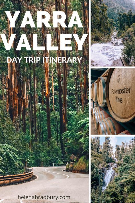 Melbourne Day Trips, Yarra Valley Australia, Yarra Valley Wineries, Dandenong Ranges, Melbourne Travel, Australia Itinerary, Australia Vacation, Hiking Photography, Australia Travel Guide