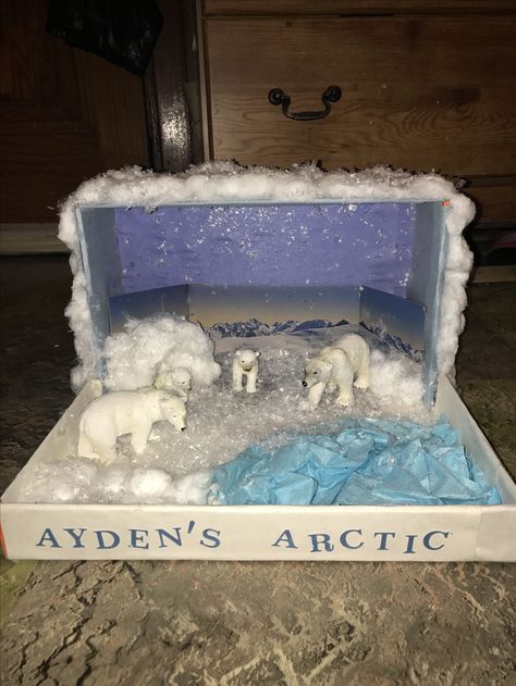 Arctic Diorama ❄️ Diorama Habitat, Polar Bear Habitat, Shoe Box Diorama, Penguins Project, Arctic Habitat, Biomes Project, Diorama Kids, Diarama Ideas, Ecosystems Projects