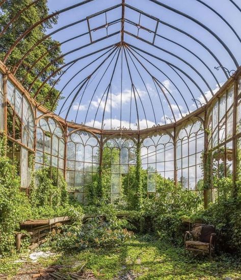 Greenhouse Aesthetic, Aesthetic Statue, Victorian Greenhouse, Victorian Greenhouses, Bodhi Tree, Greenhouses, Glass House, Beautiful Tree, Abandoned Places