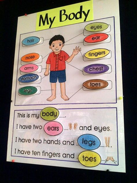 KIDDOS CRAFTS: Teaching Aids - Body Parts Childminding Activities, Vocabulary Ideas, Body Parts For Kids, July Activities, Body Preschool, Body Parts Preschool, Cv Examples, Kindergarten Learning Activities, Elementary Activities