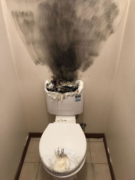 Tenants Called Today To Tell Me The Toilet Wouldn’t Flush, Plumber Turned Up To This Clogged Drain, Morning Humor, Taco Bell, Epic Fails, Having A Bad Day, Really Funny Pictures, Funny Laugh, Funny Photos, Funny Images